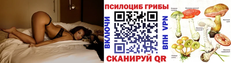 цены   Мелеуз  Псилоцибиновые грибы Psilocybe 
